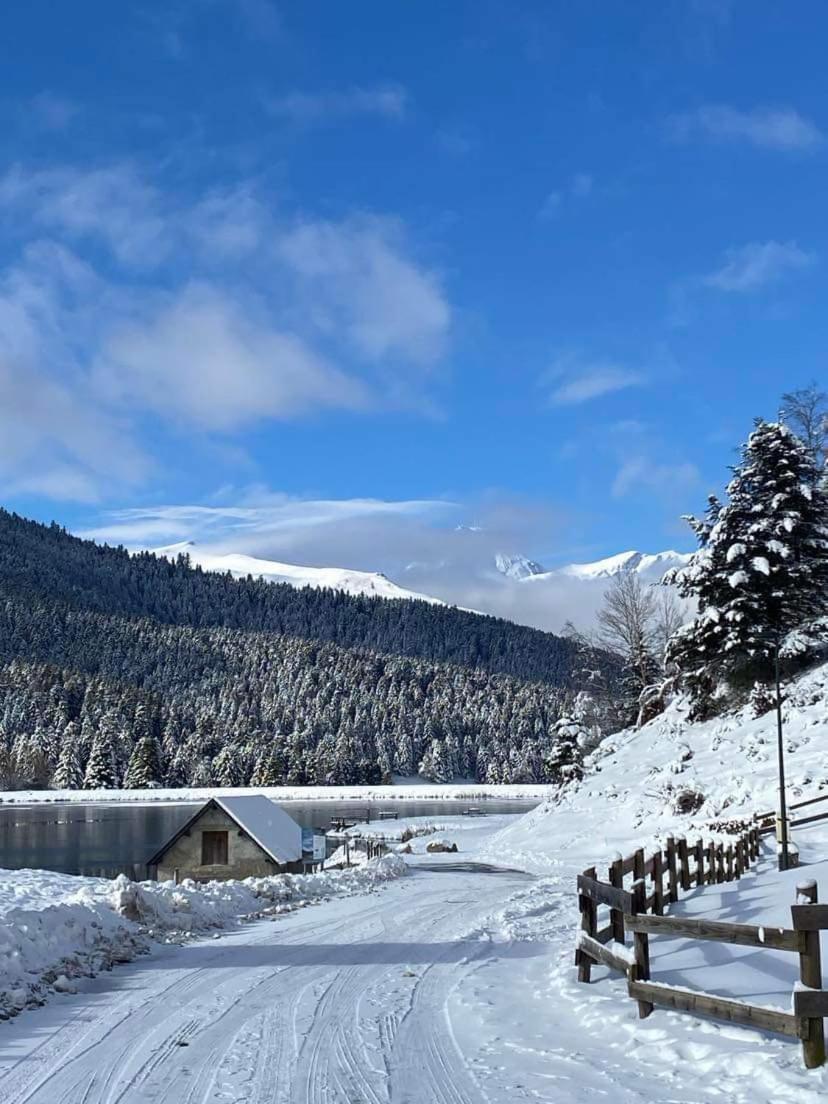 Gite Du Montagnol A Payolle 생트 마리 드 캄팡 외부 사진