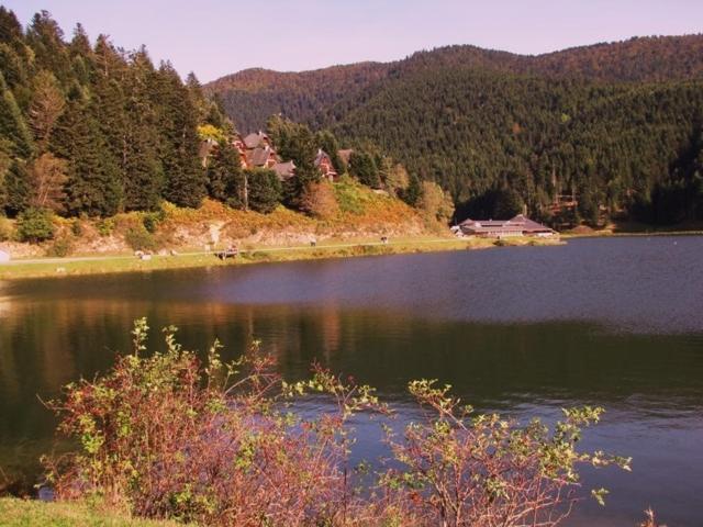 Gite Du Montagnol A Payolle 생트 마리 드 캄팡 외부 사진