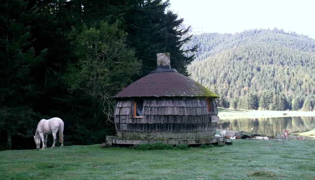 Gite Du Montagnol A Payolle 생트 마리 드 캄팡 외부 사진
